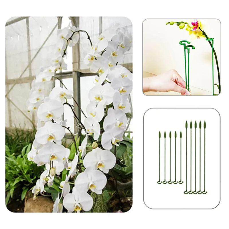 Elegant Stem Support for Thriving Plants
