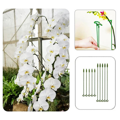 Elegant Stem Support for Thriving Plants