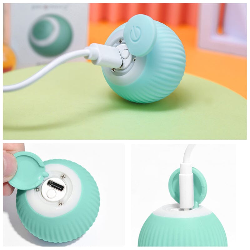 Electric Self-Rolling Cat Toy - KittyBall with 50% Discount