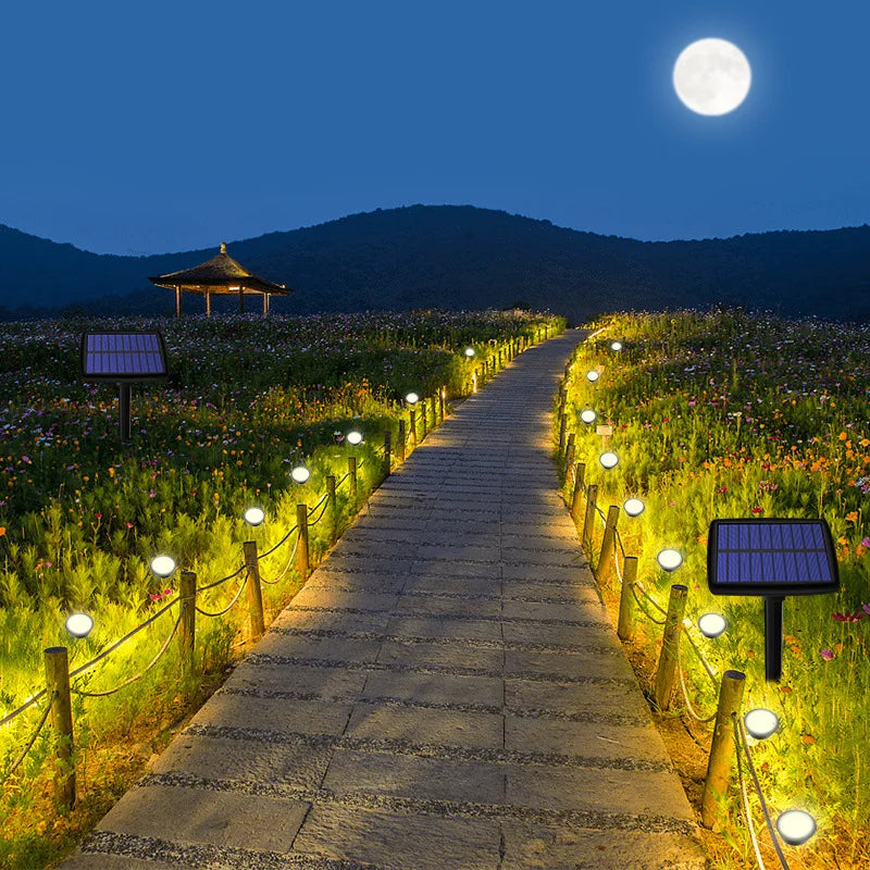 Solar Garden Lights | LED Pathway Illumination for Lawn & Patio | IP65 Waterproof