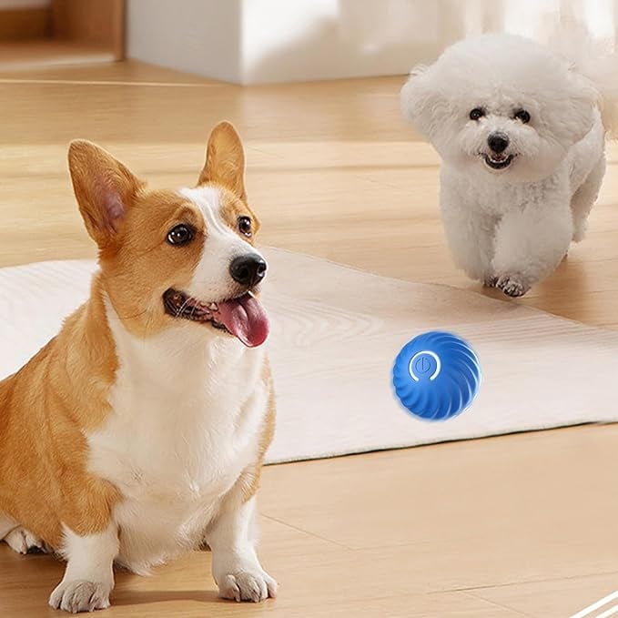 Interactive Dog Play Ball for Engaging Fetch Games