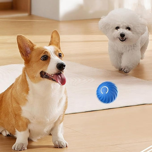 Interactive Dog Play Ball for Engaging Fetch Games
