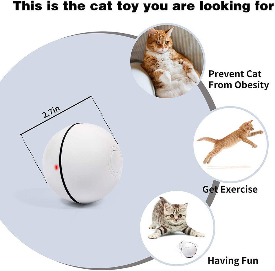 Interactive Smart Ball for Pets