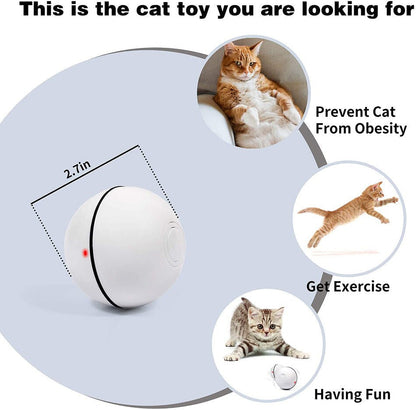 Interactive Smart Ball for Pets