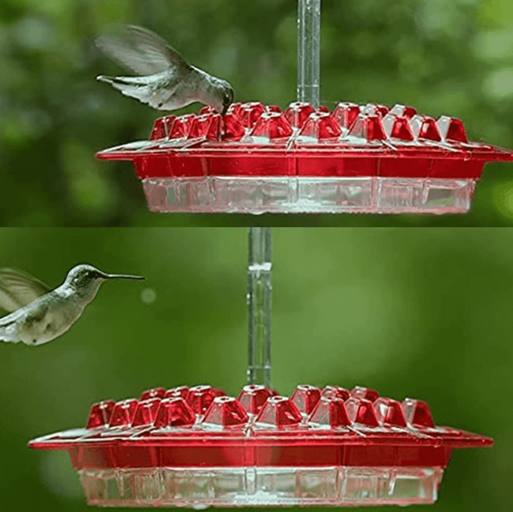 BlossomNest Hanging Hummingbird Feeder with Perch & 30 Ports