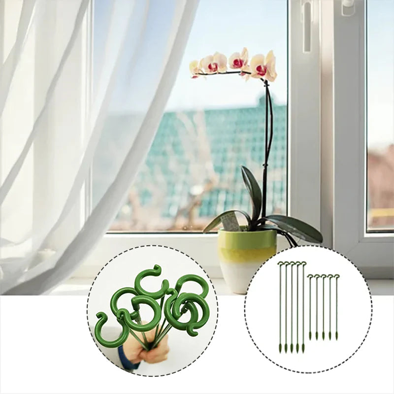 Elegant Stem Support for Thriving Plants