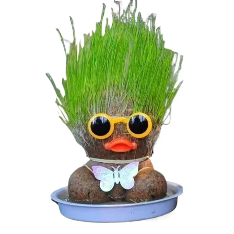 Lively Indoor Grass Buddy for a Fresh Home Atmosphere