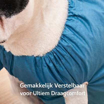 Quick and Stress-Free Dog Drying Solution