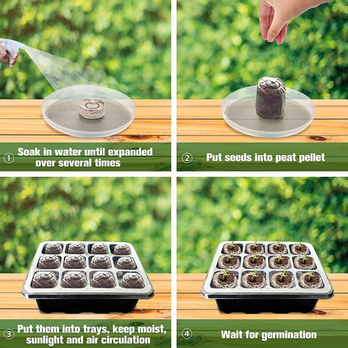 Quick and Strong Sprouting with Ideal Moisture Control