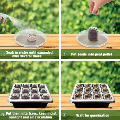 Quick and Strong Sprouting with Ideal Moisture Control
