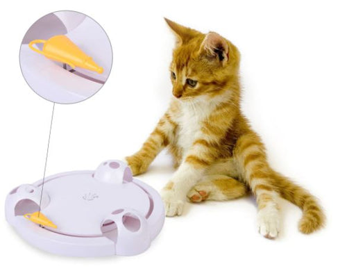 Keep Your Pet Active, Engaged, and Entertained All Day