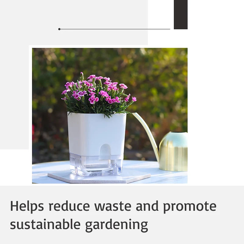 Grow Plants Easily Without Daily Watering Issues