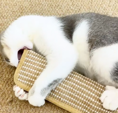 Cat Toy – Keeps Cats Active, Happy and Protects Furniture