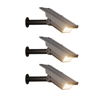 Save Money with All-Day Solar Garden Lighting