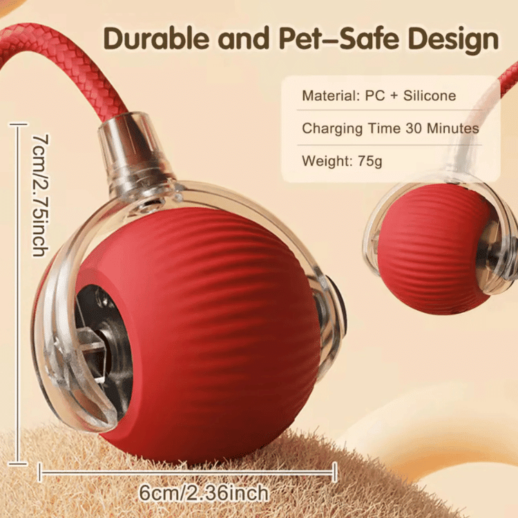 Playful Cat Ball with String | Engaging Indoor Toy for Cats