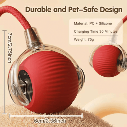 Playful Cat Ball with String | Engaging Indoor Toy for Cats