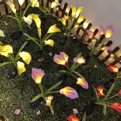 Solar LED Garden Light in Calla Lily Design | Waterproof Outdoor Fixture with Stake for Lawn & Patio
