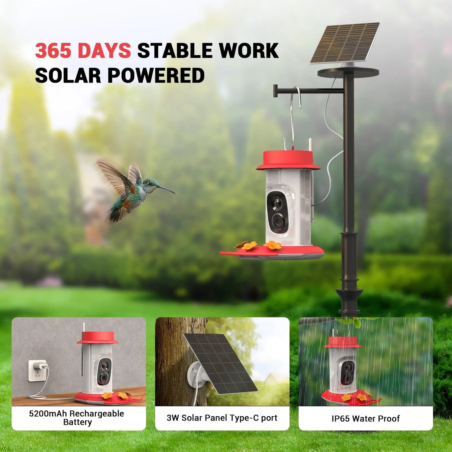 Bird Feeding Station with Multiple Perches and Seed Tray