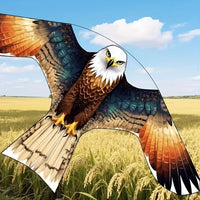 Colourful Eagle Kite