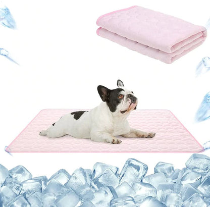 Keeps Your Dog Cool, Calm, and Comfortable All Day