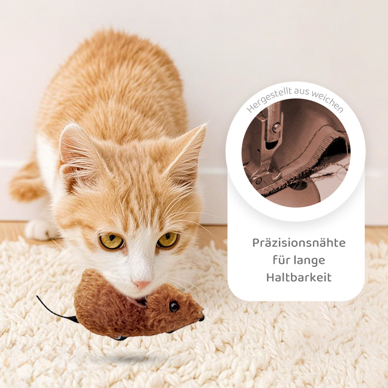 Buy 2 Get 1 Free | CatPlay – Chase, Play, and Enjoy – Fun for Your Cat!