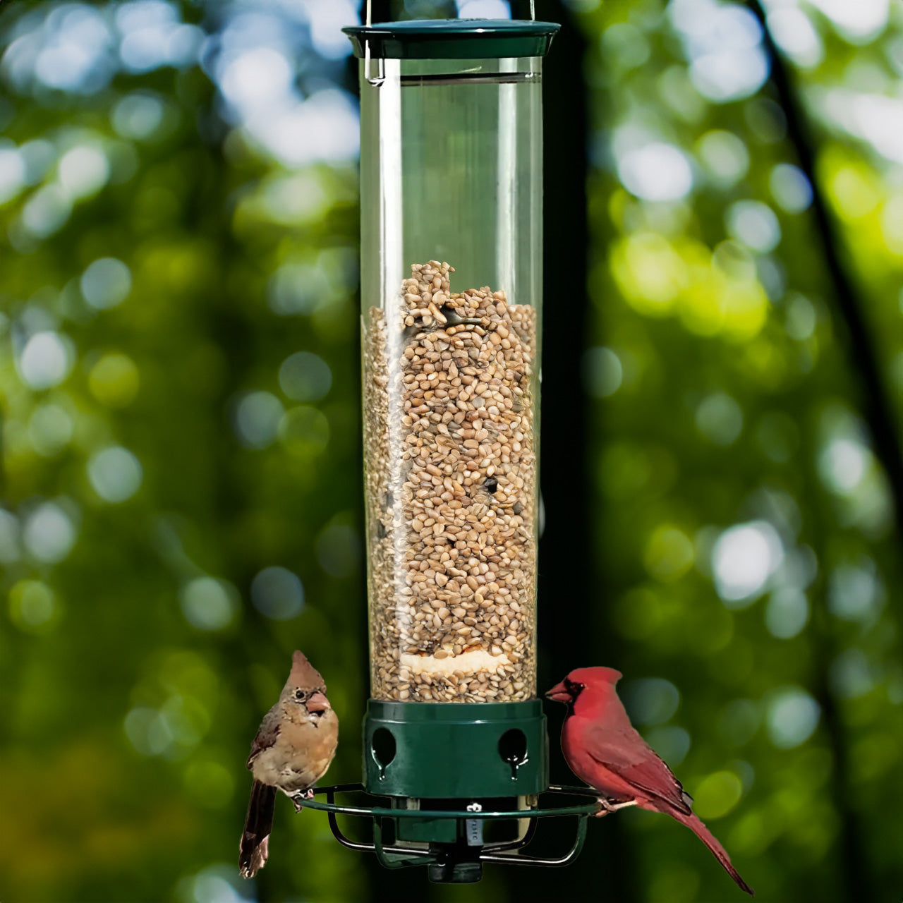 Squirrel-Proof Hanging Bird Feeder for Garden with Rotating Perch