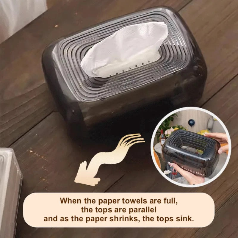 Elegant Clear Tissue Organizer Box
