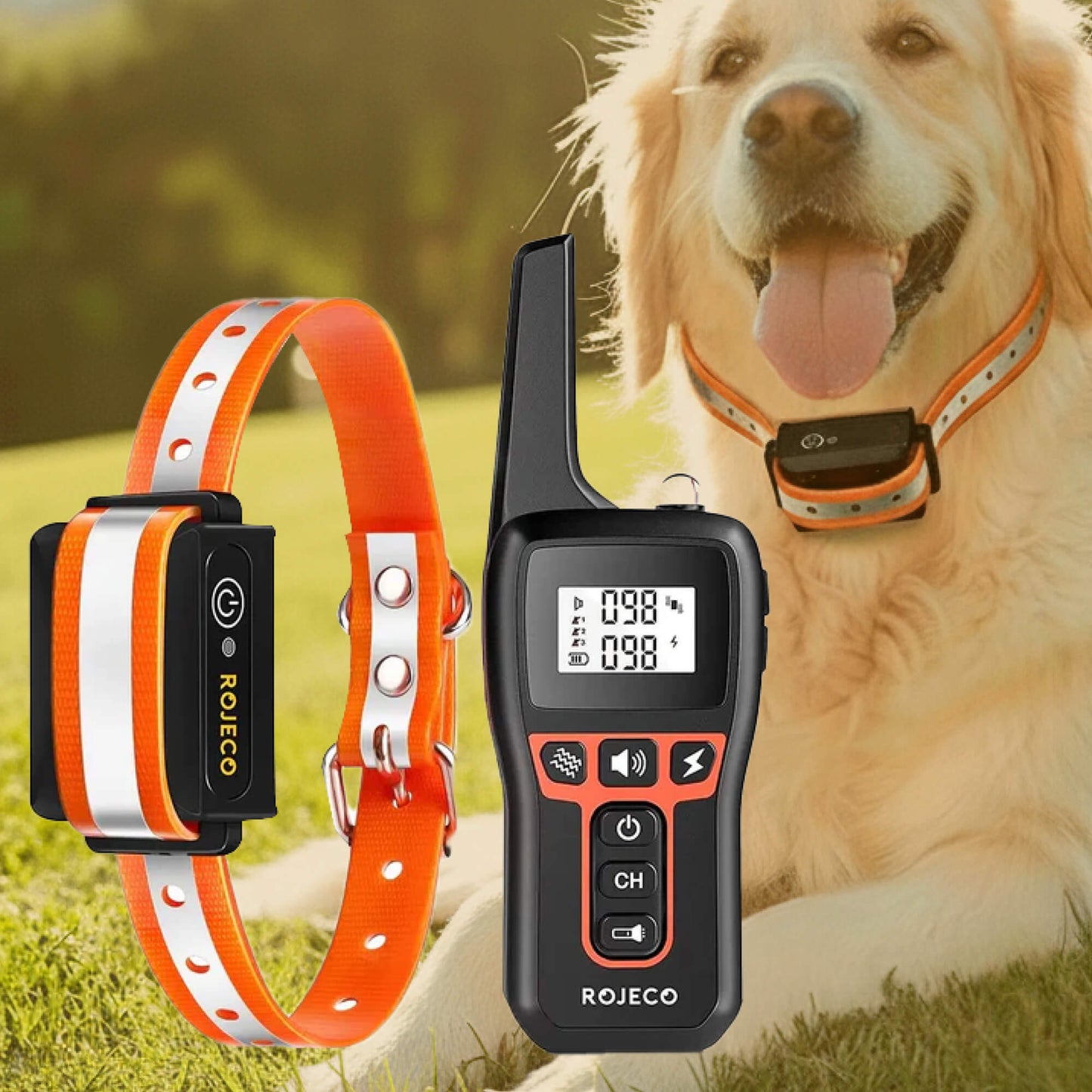 Dog Training Collar with Rechargeable Battery – Beep, Vibration, Static