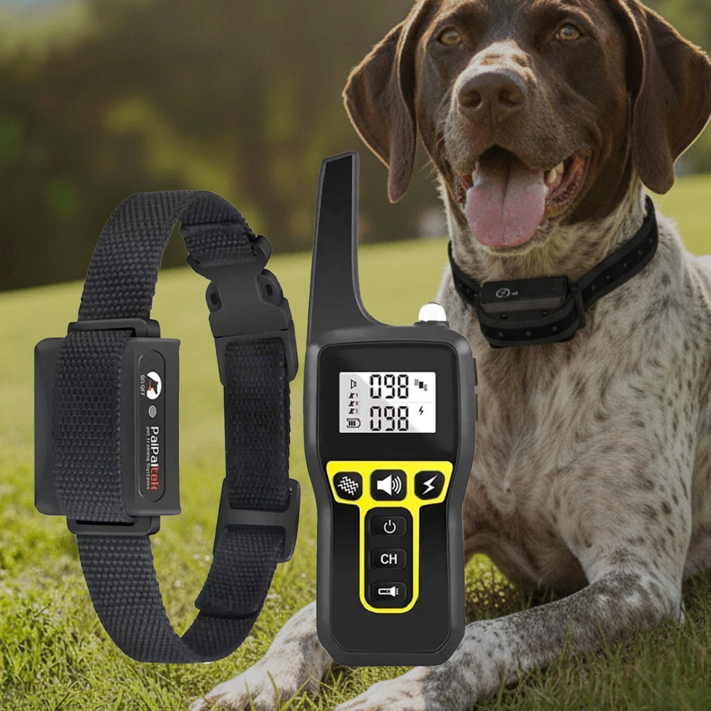 Dog Training Collar with Rechargeable Battery – Beep, Vibration, Static