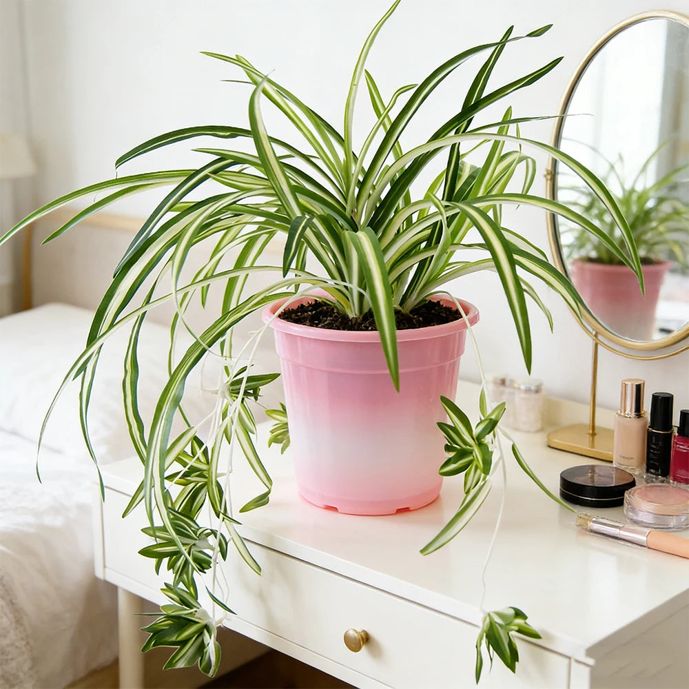 Artificial Chlorophytum Plant | 65 cm | Wall-Mounted | PVC Decoration for Living Room & Wedding