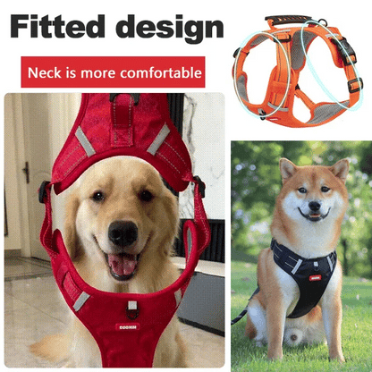 PawEase Soft Dog Harness | Comfort, Safety, and Control