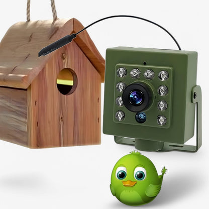 Outdoor Wildlife Camera 1080p HD with Night Vision, WiFi, IP66 Waterproof