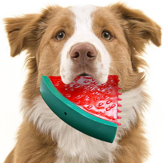 Chill & Play: Freezable Summer Chew Toy for Dogs