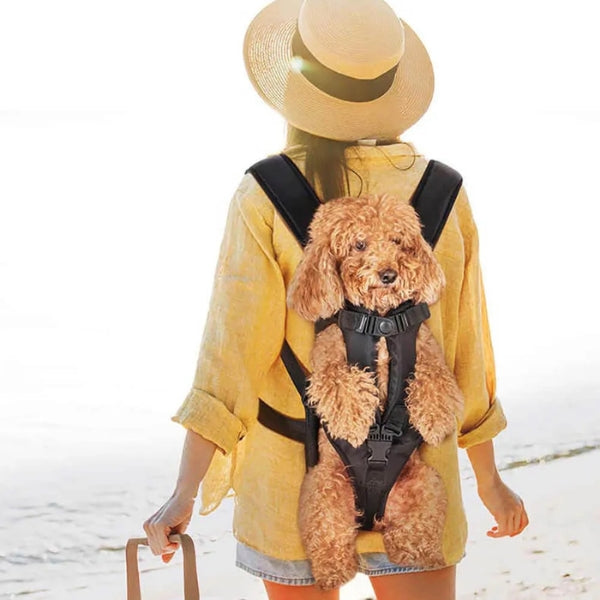 Waterproof and Breathable Pet Carrier Cockpit for Dogs and Cats