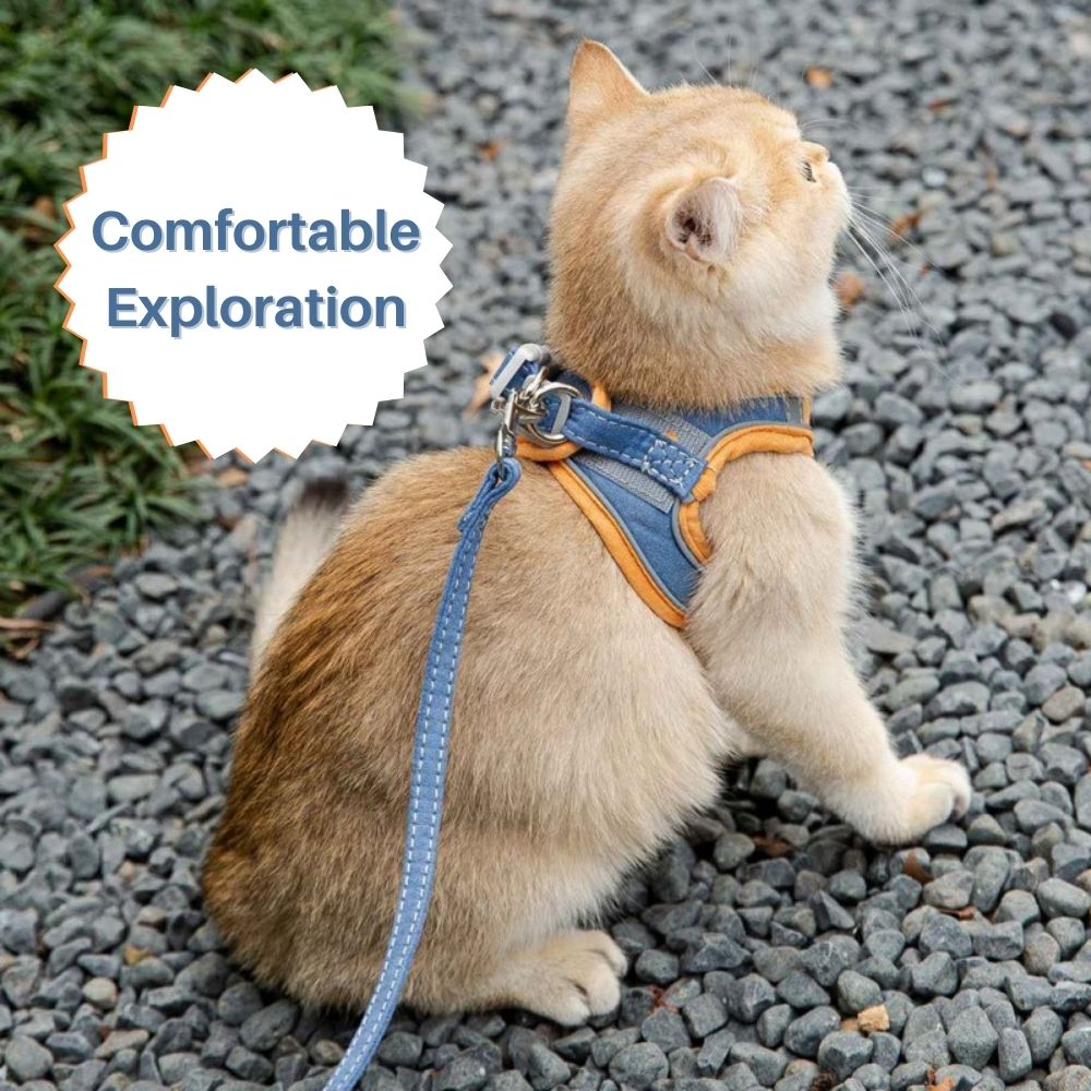 ExploreSafe Cat Harness and Leash Set
