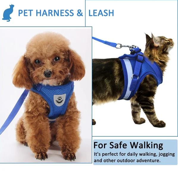 Adjustable, Breathable, Light-Up Cat Harness
