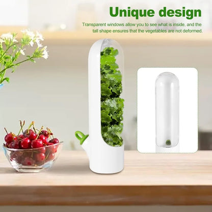 Buy One Get One Free | Fresh Storage Container for Vegetables and Herbs