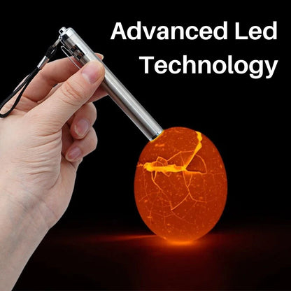 ClarityEgg Light Enhancer