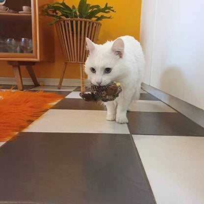 Interactive Chirping Bird Toy for Cats