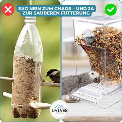 Bird Feeder – Clean Feeding, Happy Birds, Reduced Effort