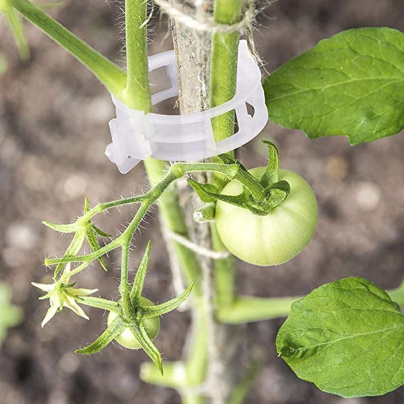 Support Clips for Thriving Plants