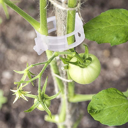 Support Clips for Thriving Plants