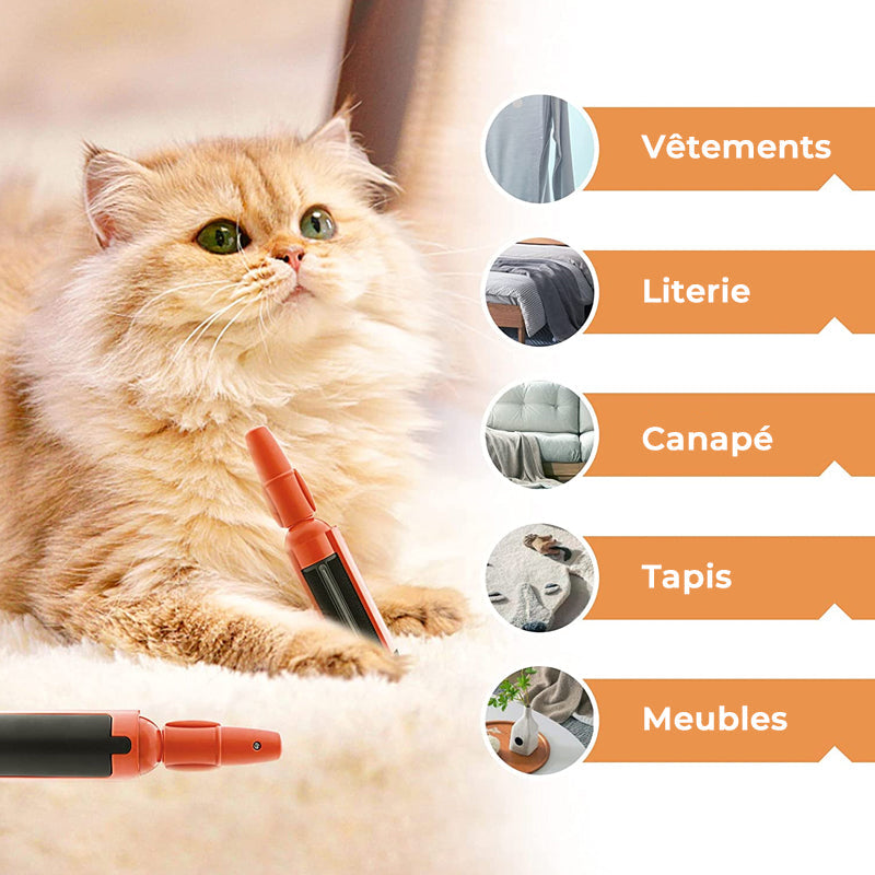 Pet Hair Removal Adhesive Brush