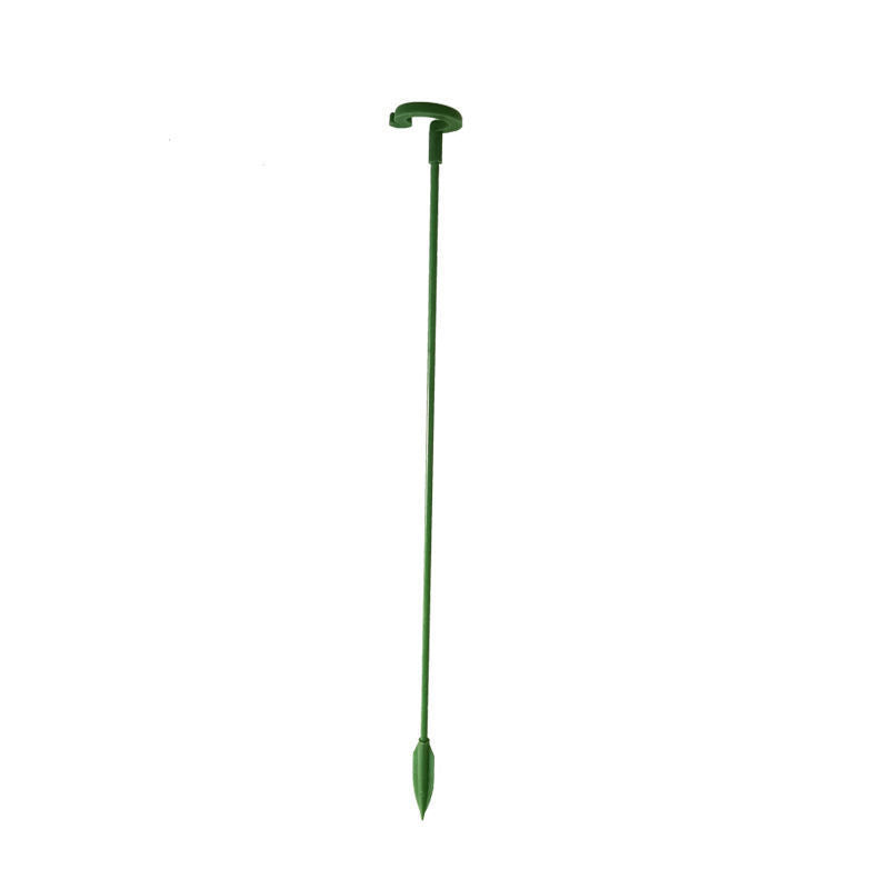 Elegant Stem Support for Thriving Plants