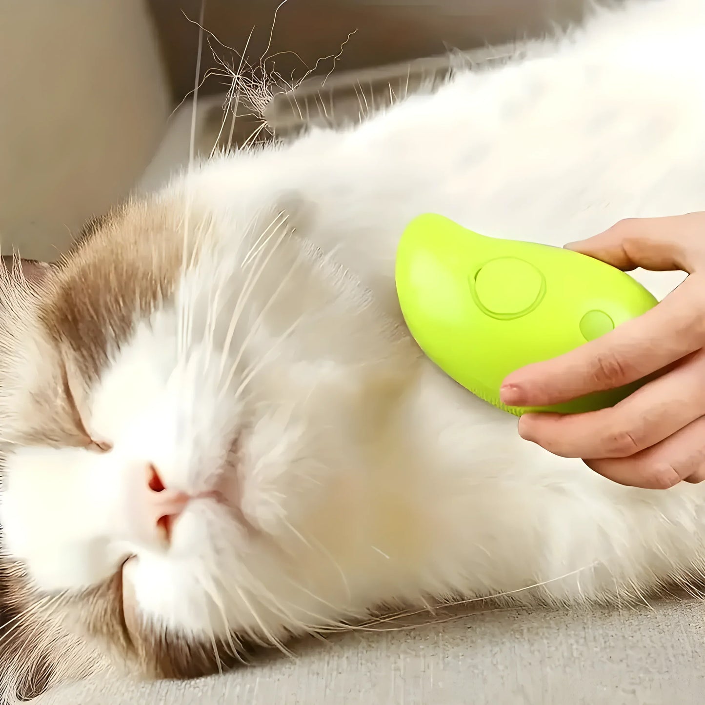 SteamPaws | Your Loyal Canine Companion