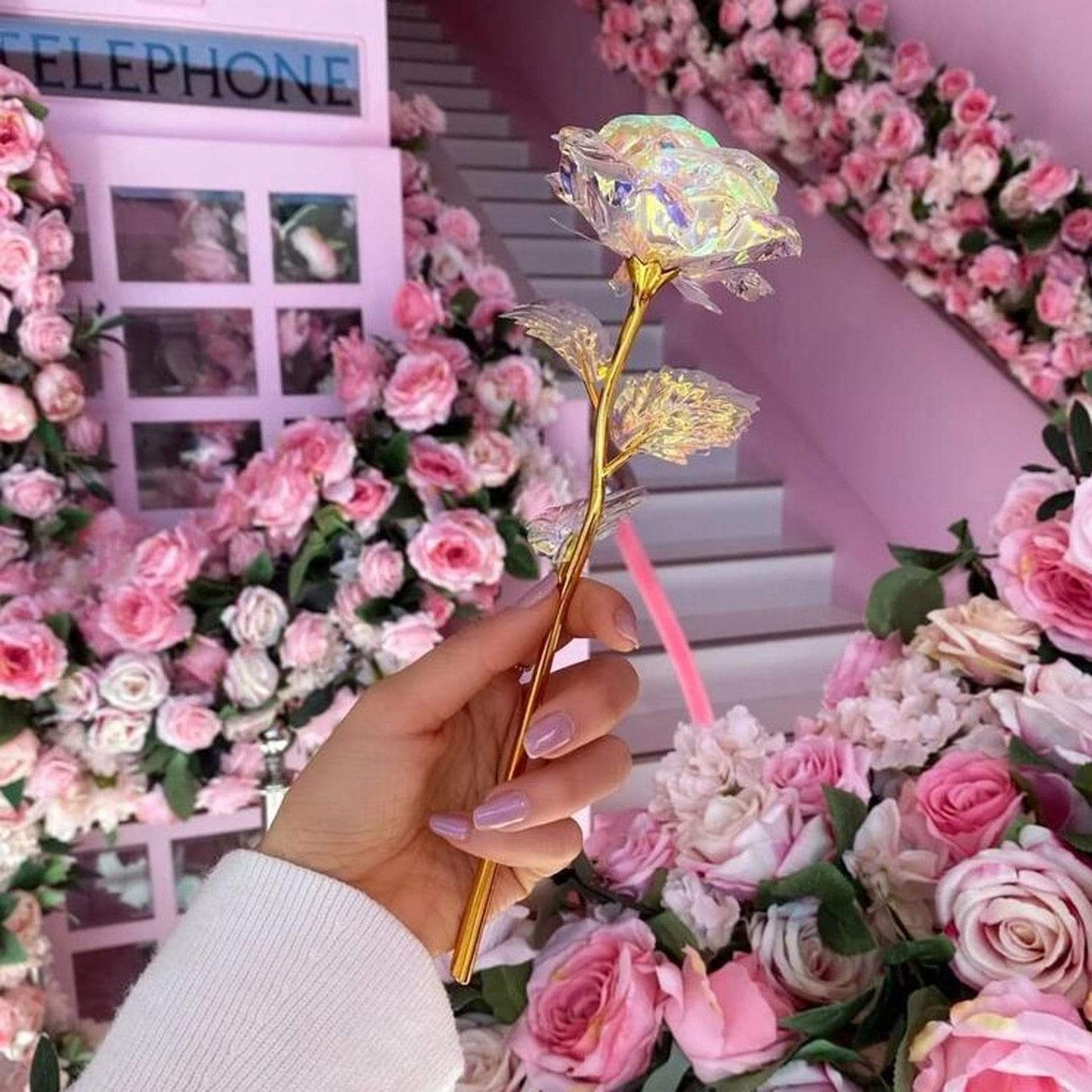 10 Stunning Eternal Bloom Roses by Lumina Flora
