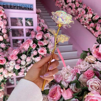 10 Stunning Eternal Bloom Roses by Lumina Flora
