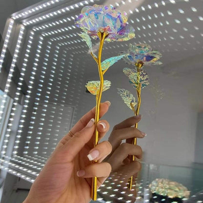 10 Stunning Eternal Bloom Roses by Lumina Flora