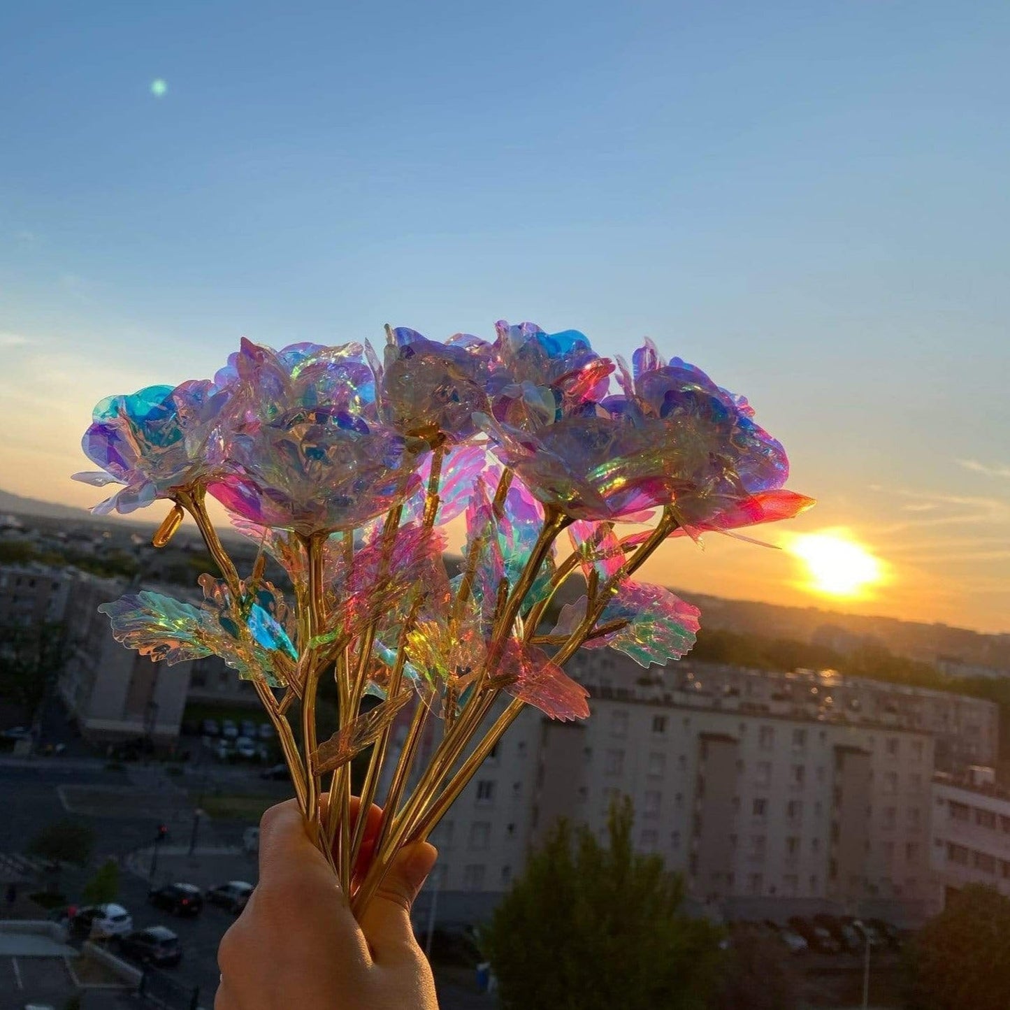 10 Stunning Eternal Bloom Roses by Lumina Flora