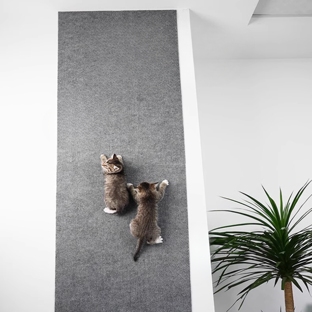 Double the Fun: ScratchGuard Wall-Mounted Cat Scratcher